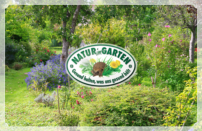 Gartenkonzepte-Artikel-698x452-05.jpg