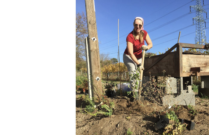 698x452 Andrea und die vielfältige Hekce 01.jpg